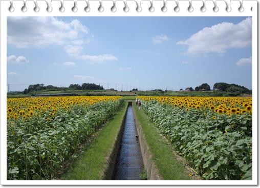 �n���n�����L�B