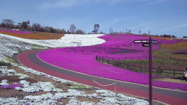 �n���n�����L�B