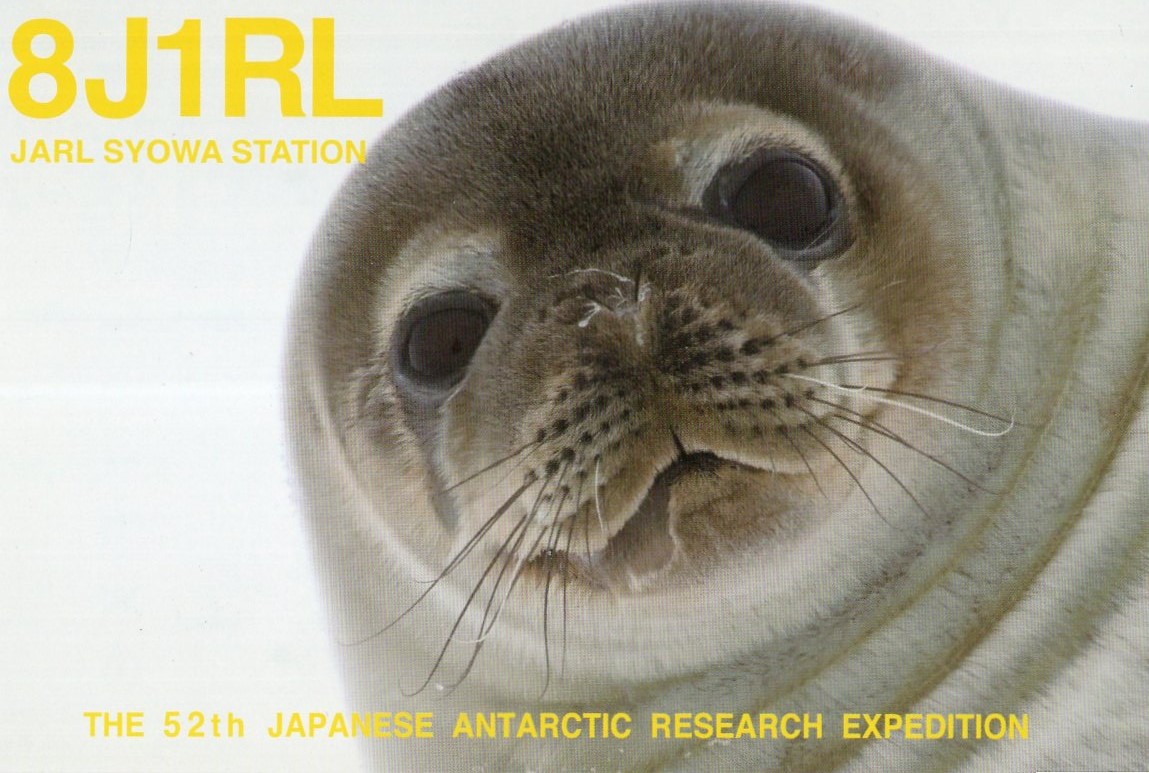 JI1FXS�̃A�}�`���A�������B