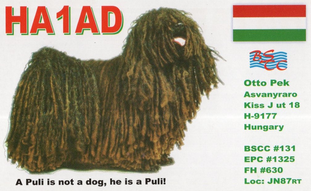 JI1FXS�̃A�}�`���A�������B