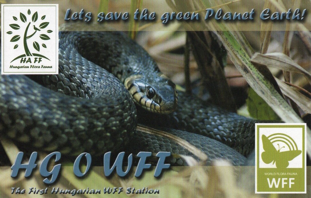 JI1FXS�̃A�}�`���A�������B