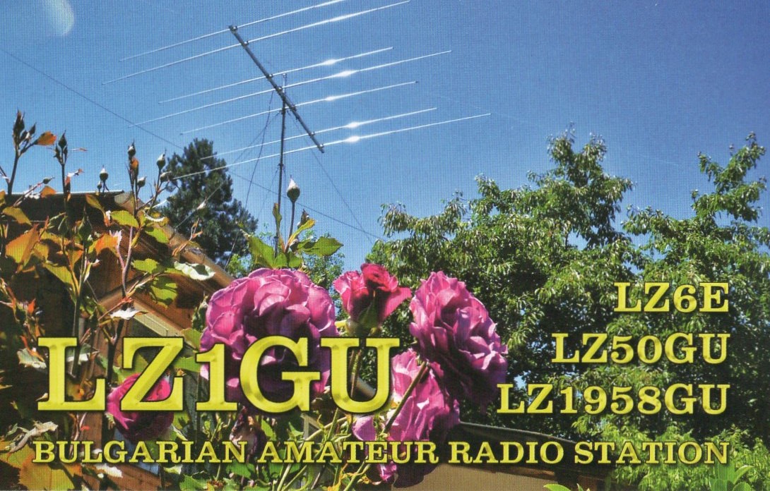 JI1FXS�̃A�}�`���A�������B