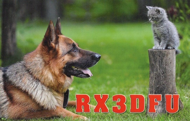 JI1FXS�̃A�}�`���A�������B