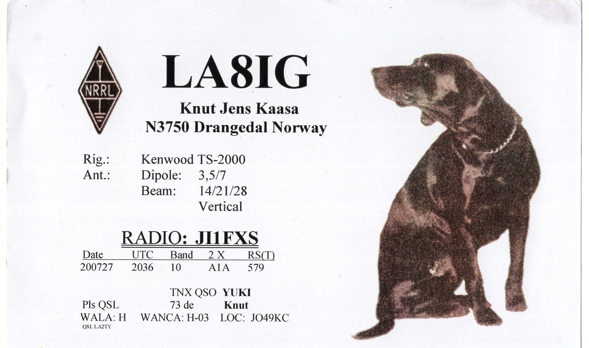 JI1FXS�̃A�}�`���A�������B