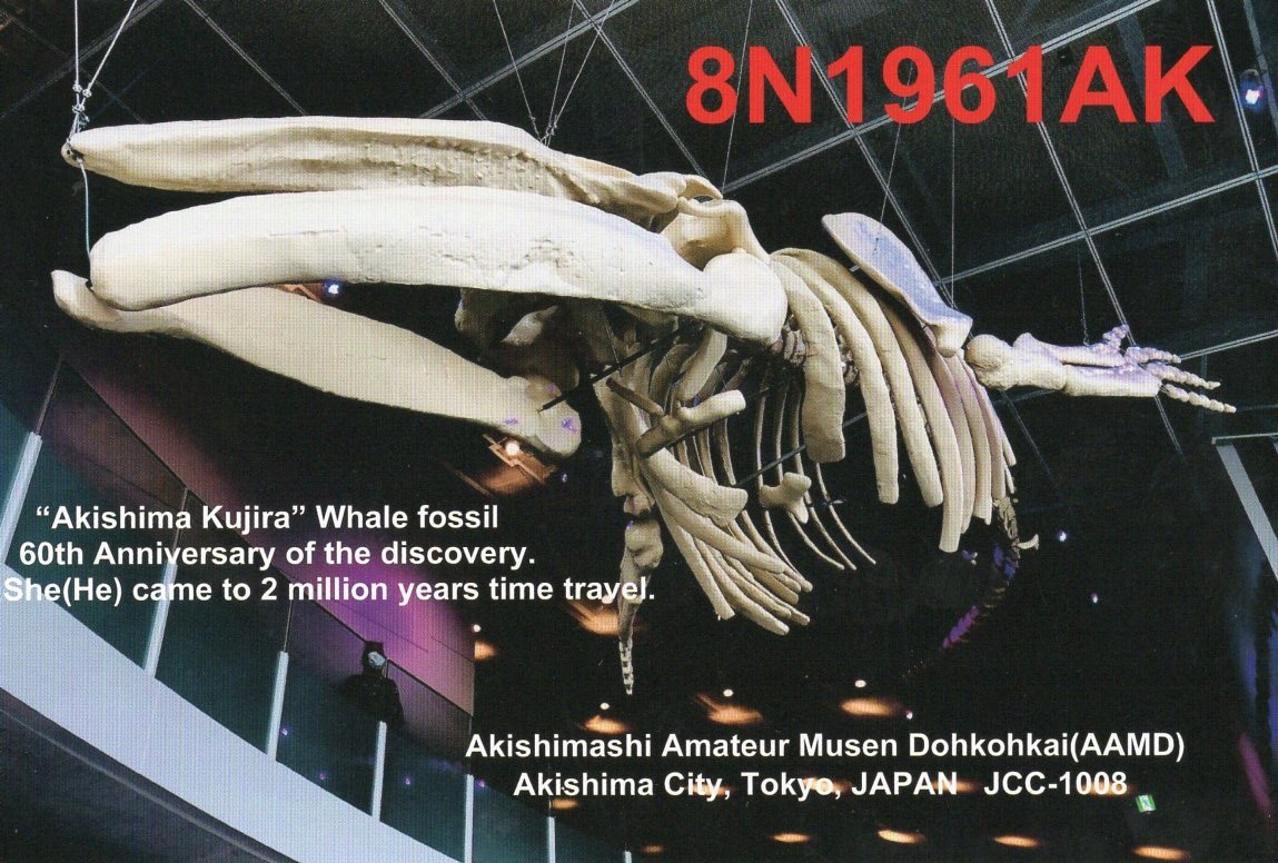 JI1FXS�̃A�}�`���A�������B