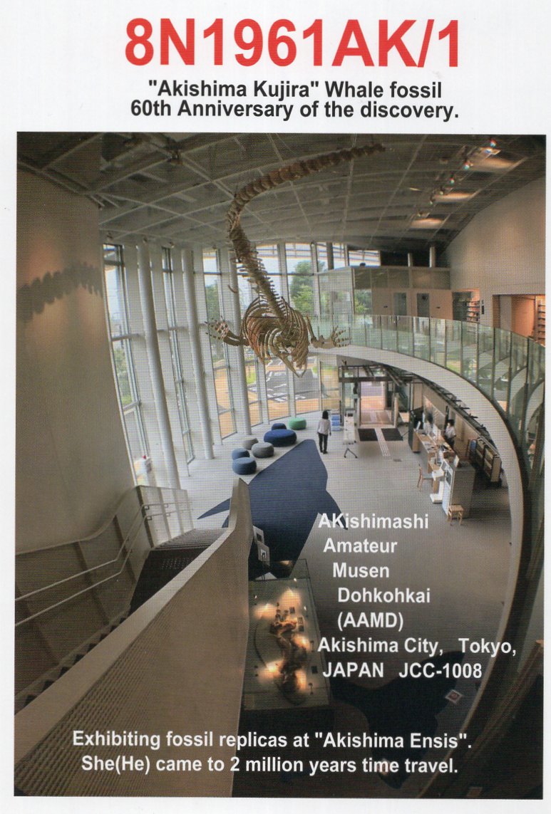 JI1FXS�̃A�}�`���A�������B