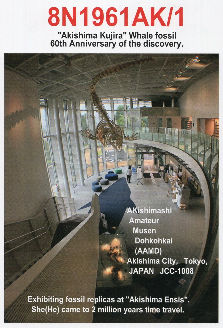 JI1FXS�̃A�}�`���A�������B