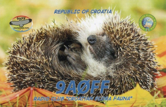 10JARL Buro蓞J[hDXǕ҂łBiJI1FXS̃A}`ABj