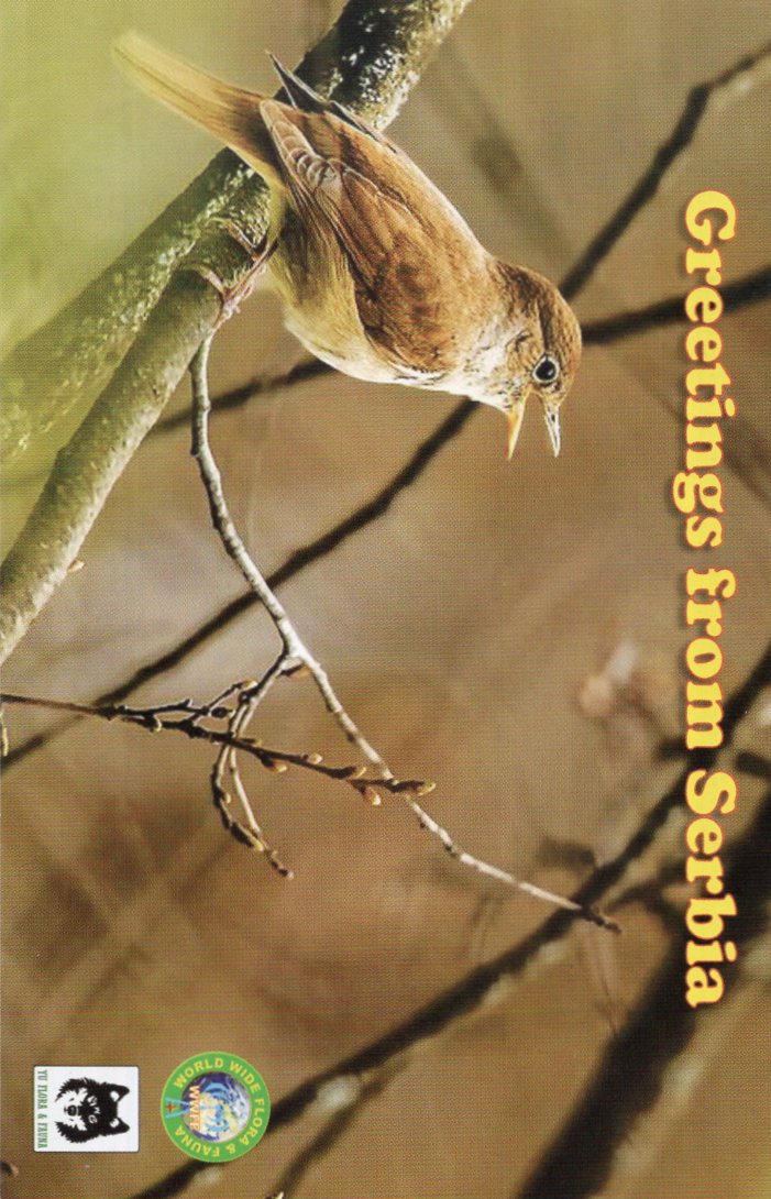 12��JARL Buro��蓞���J�[�hDX�Ǖ҂ł��B�iJI1FXS�̃A�}�`���A�������B�j