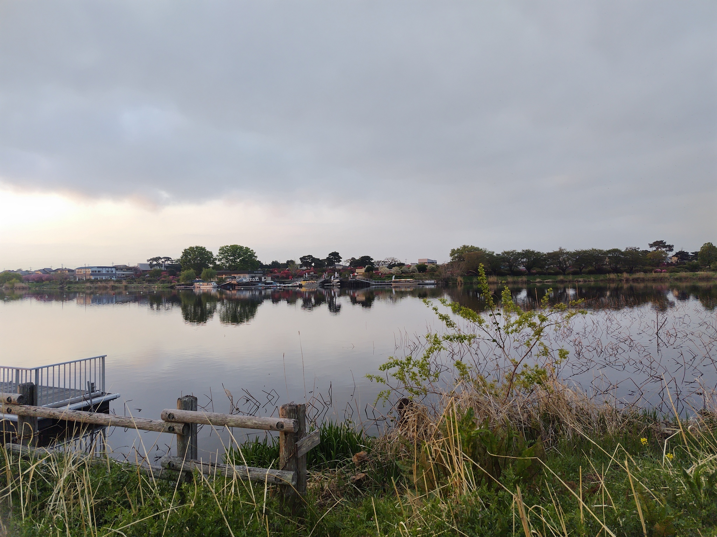 JI1FXS�̃A�}�`���A�������B