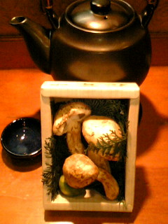 �H�V���`���䂤�Ă��`���L