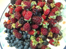 �H�V���`���䂤�Ă��`���L