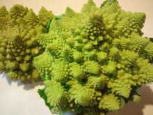 �H�V���`���䂤�Ă��`���L