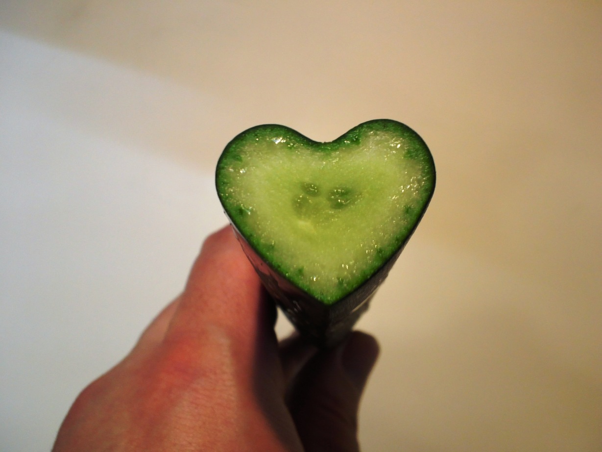 �H�V���`���䂤�Ă��`���L