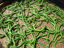 �H�V���`���䂤�Ă��`���L