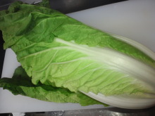 �H�V���`���䂤�Ă��`���L