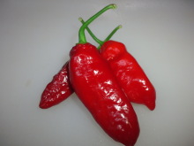 �H�V���`���䂤�Ă��`���L