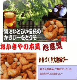 ������Ă��@ �������̖���@����