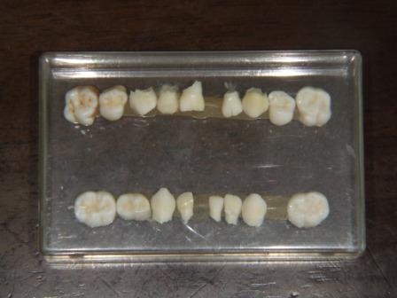 ���c���� �Ȗ؎s�s�����ʂ�C���v�����g�E�z���C�g�j���O�T����