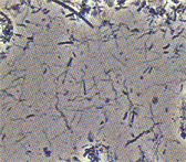 ���c���� �Ȗ؎s�s�����ʂ�C���v�����g�E�z���C�g�j���O�T����