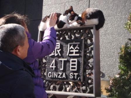 ���c���� �Ȗ؎s�s�����ʂ�C���v�����g�E�z���C�g�j���O�T����