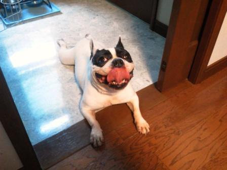 ���c���� �Ȗ؎s�s�����ʂ�C���v�����g�E�z���C�g�j���O�T����