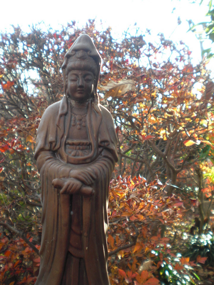 ��̉j���X �Ƃ��� ����~��~