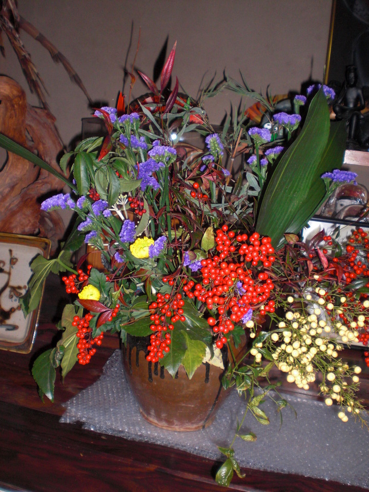 ��̉j���X �Ƃ��� ����~��~