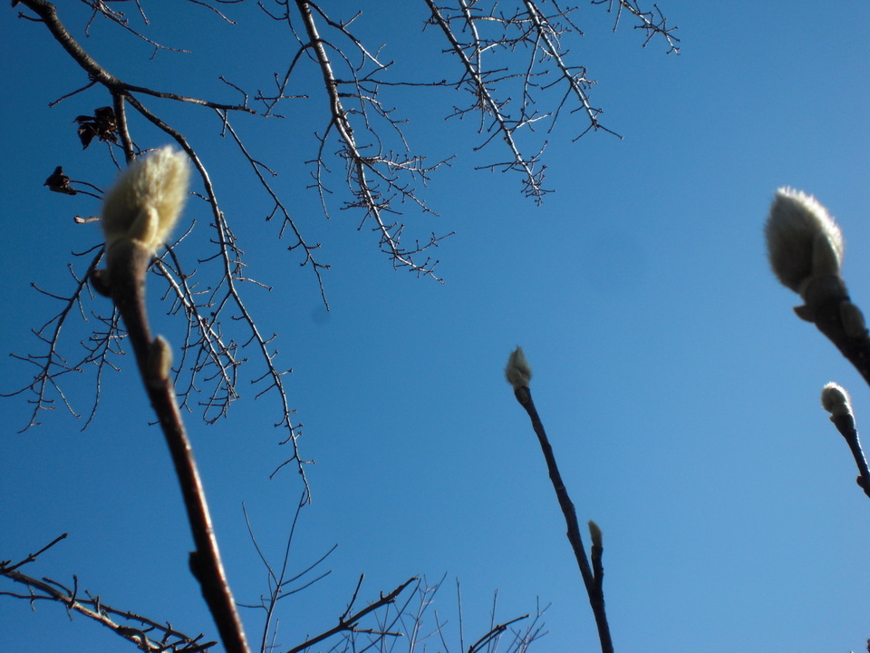 ��̉j���X �Ƃ��� ����~��~