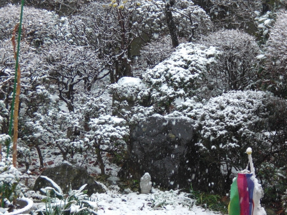 ��̉j���X �Ƃ��� ����~��~