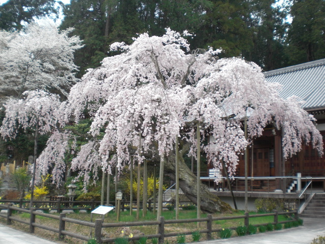 ��̉j���X �Ƃ��� ����~��~