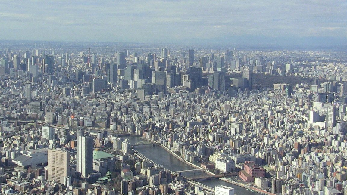 ��̉j���X �Ƃ��� ����~��~