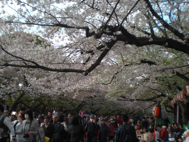 ��̉j���X �Ƃ��� ����~��~