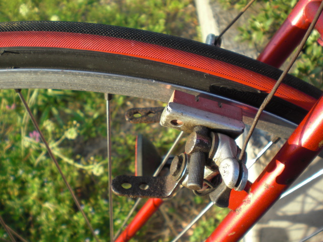 ��̉j���X �Ƃ��� ����~��~