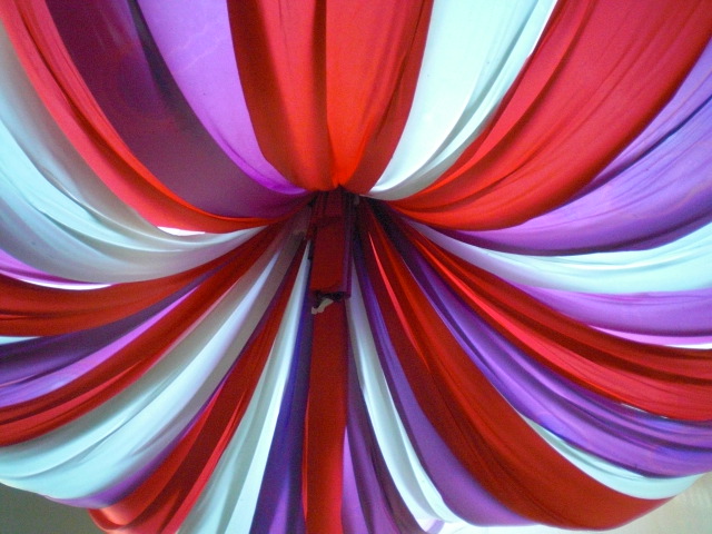 ��̉j���X �Ƃ��� ����~��~