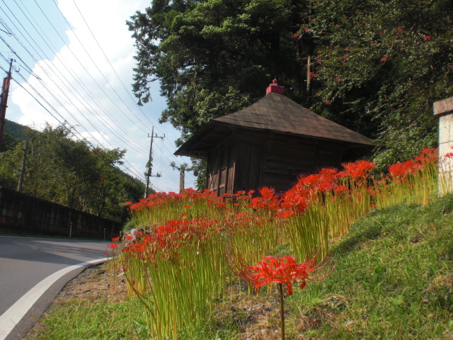 ��̉j���X �Ƃ��� ����~��~