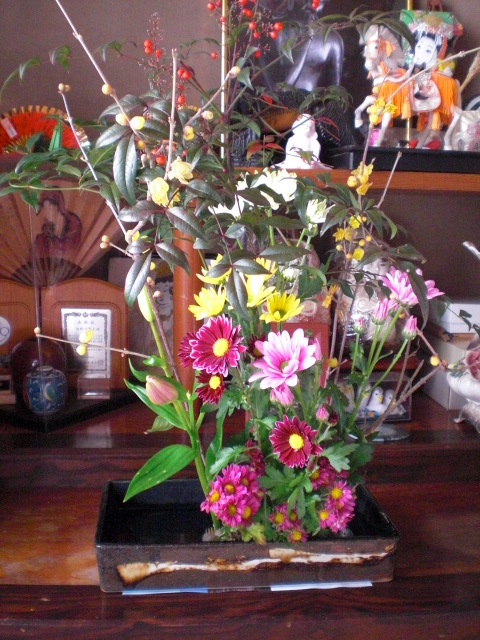 ��̉j���X �Ƃ��� ����~��~