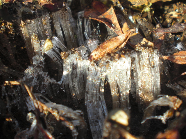 ��̉j���X �Ƃ��� ����~��~