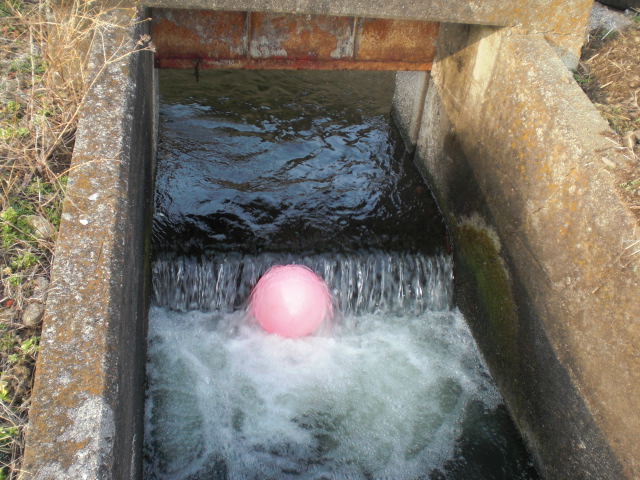 ��̉j���X �Ƃ��� ����~��~