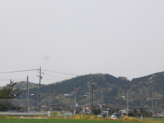 ��̉j���X �Ƃ��� ����~��~