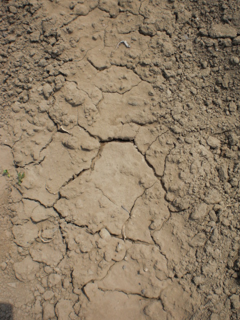 ��̉j���X �Ƃ��� ����~��~