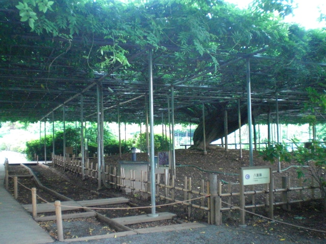 ��̉j���X �Ƃ��� ����~��~