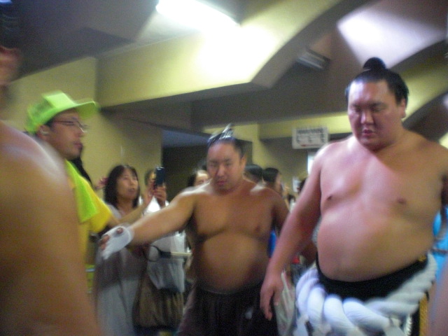 ��̉j���X �Ƃ��� ����~��~