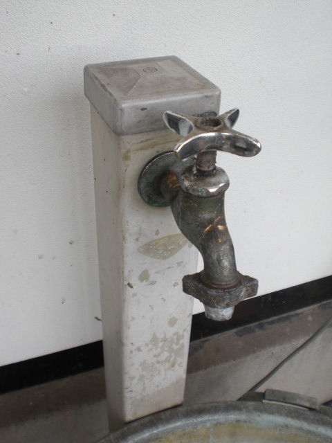 ��̉j���X �Ƃ��� ����~��~