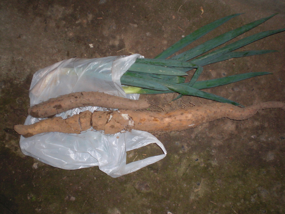 ��̉j���X �Ƃ��� ����~��~