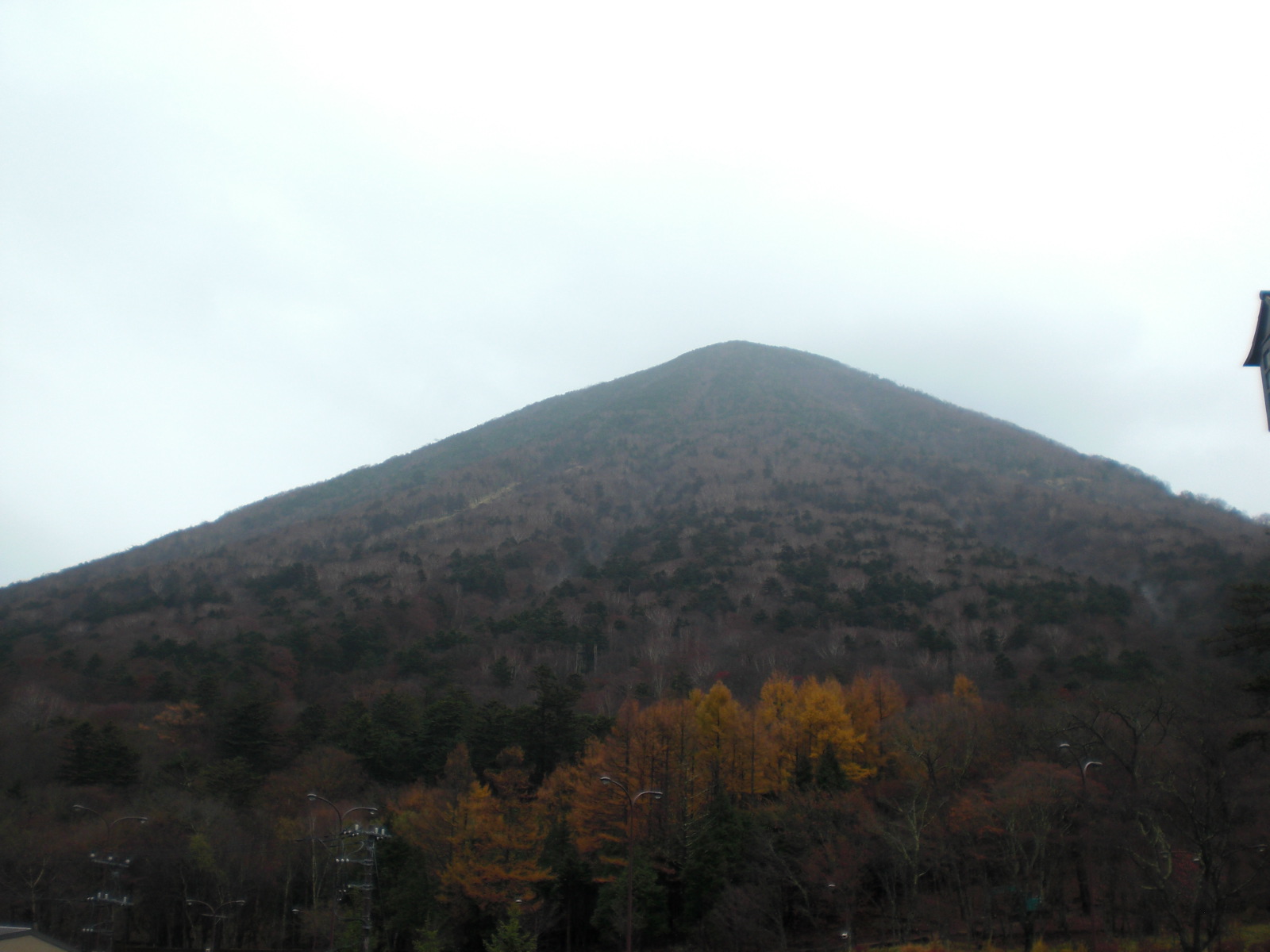 ��̉j���X �Ƃ��� ����~��~