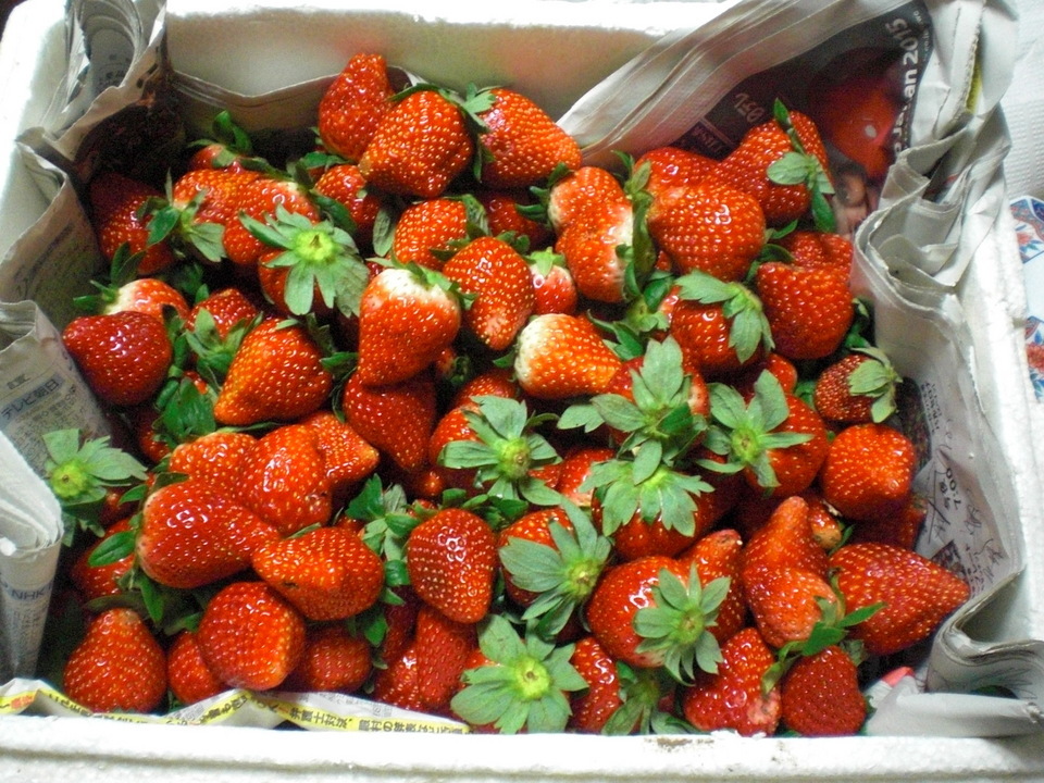 ��̉j���X �Ƃ��� ����~��~