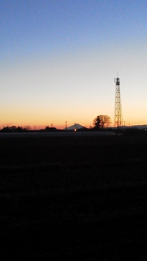 ��̉j���X �Ƃ��� ����~��~