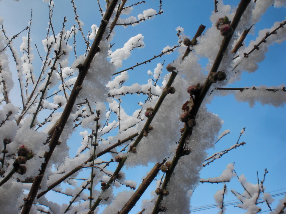 ��̉j���X �Ƃ��� ����~��~