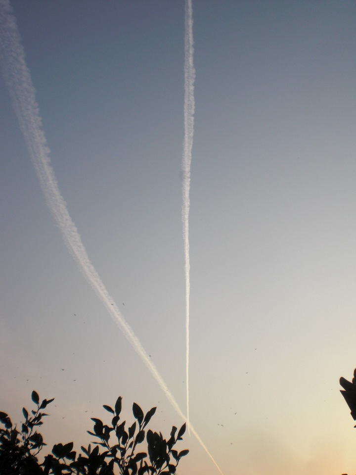 ��̉j���X �Ƃ��� ����~��~